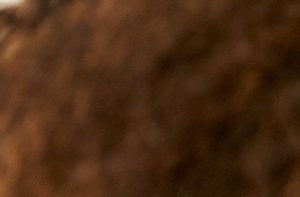 Windsor At Midtown Luxury Apartments In Midtown Atlanta